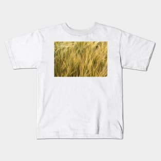 Barley in evening summer light - Norfolk, UK Kids T-Shirt